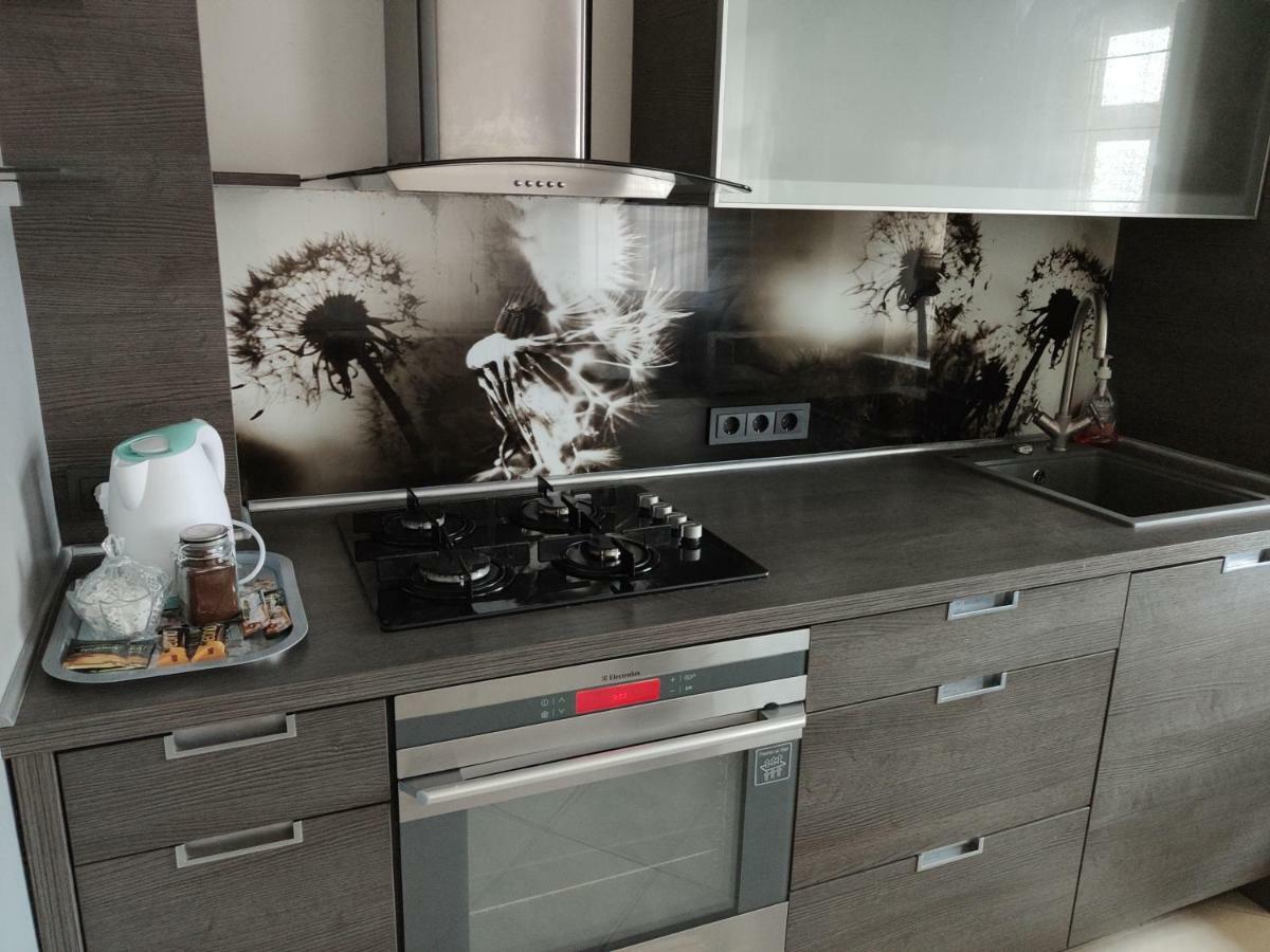 Nikoletos Apartamentai Panevėžys Kültér fotó
