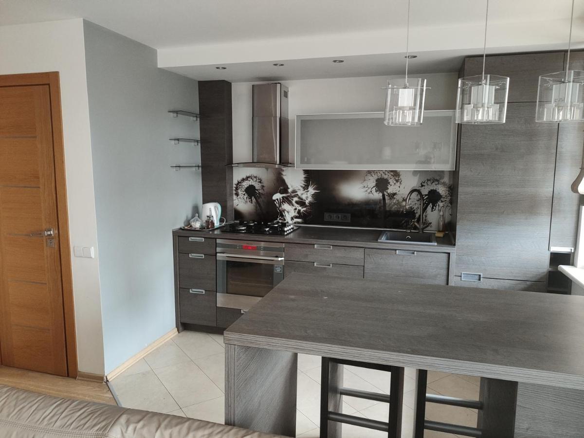 Nikoletos Apartamentai Panevėžys Kültér fotó
